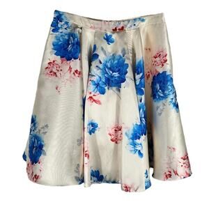 Let’s Cream With Blue Pink Floral Design Skirt Size XL